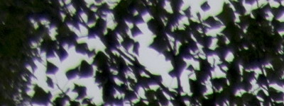 Nikon 18-55mm f/3,5-5,6G AF-S DX VR