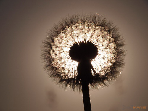 Olympus PEN E-PL2: PEN počtvrté a zase lépe