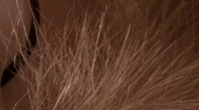 Panasonic Lumix FZ1000: legenda je zpátky