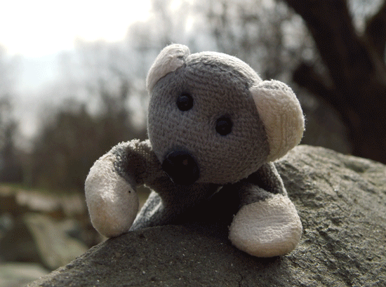 Fotíme s Koalou: Protisvětlo, HDR a odrazné... cokoli