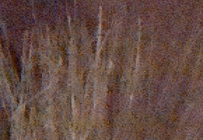 Samsung NX20: za více peněz více muziky