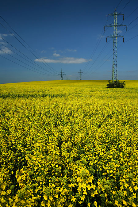 Použití filtrů v digitálním věku