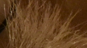 Nikon D7200: přesvědčivé zrcadlo