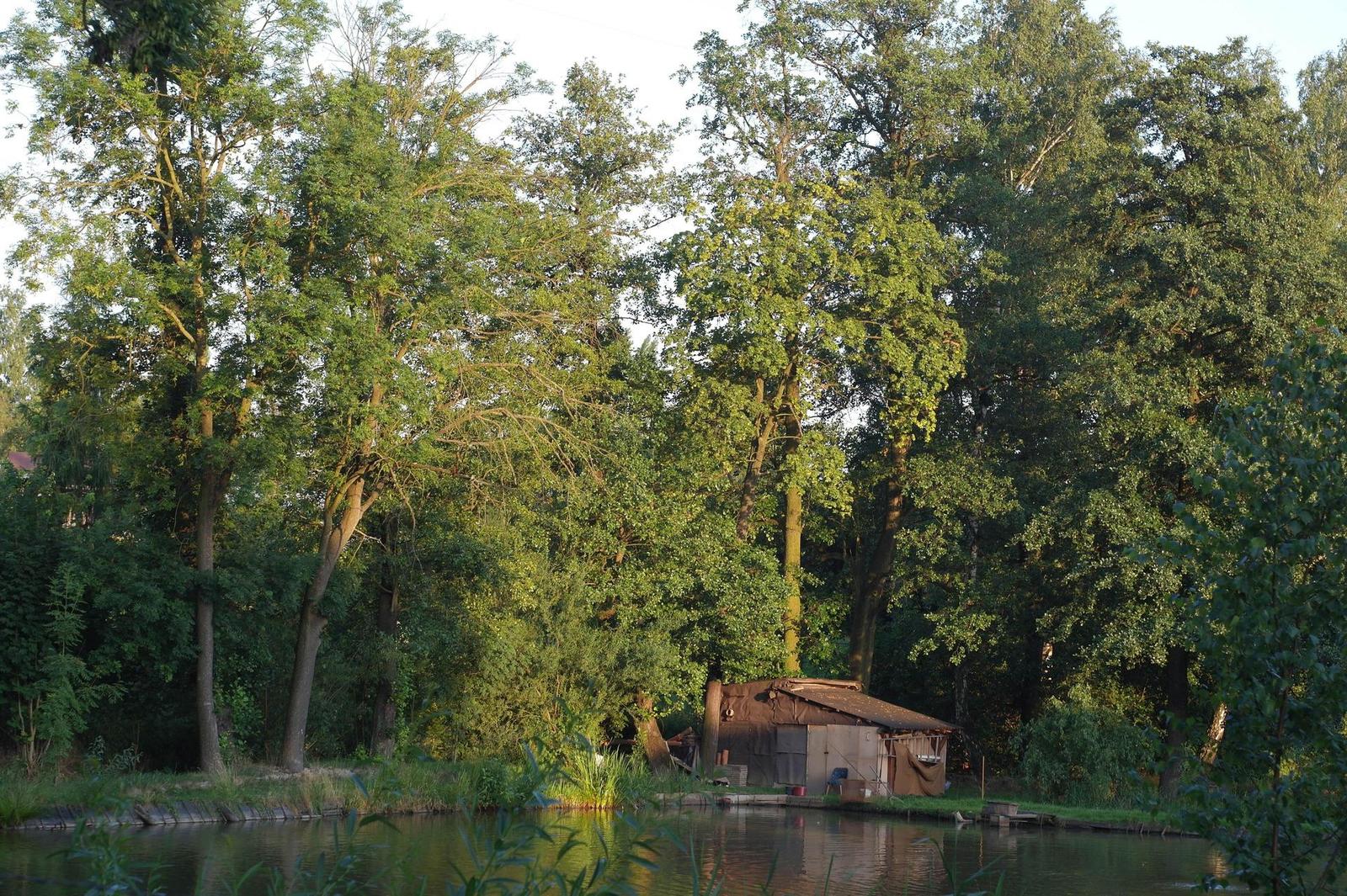 Minolta MC Rokkor-PF 50mm F1.7 (MC/MD)