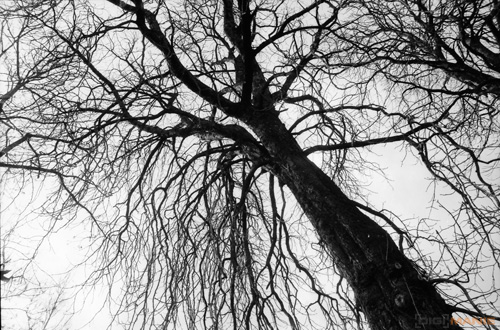 Canon CanoScan 9000F: nejen pro kinofilmy