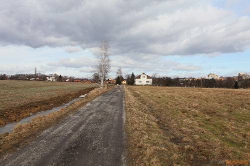 Canon EF 35mm f/1.4L USM