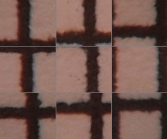 Olympus M.Zuiko Digital 14-150 mm F4-5,6