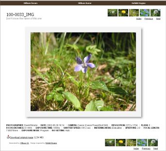 Fotoalbum na webu snadno, rychle a zadarmo