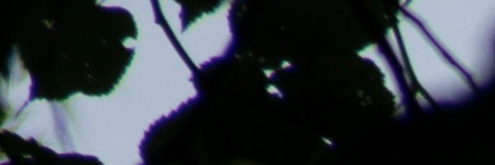 Nikon AF-S DX NIKKOR 55-200mm f/4-5.6G IF-ED VR