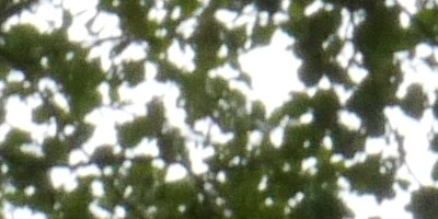 Panasonic Lumix G Vario 14-42mm F3,5-5,6 APSH.