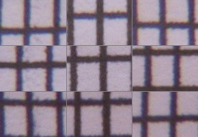 Canon PowerShot SX50 HS: překvapivá kombinace