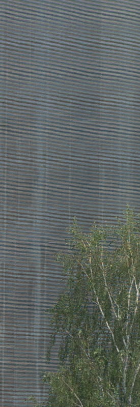 Vyšší rozlišení a hustota pixelů APS-C čipů: k čemu další MPx?