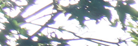 Sony Carl Zeiss Vario-Tessar T* 16-70mm F4 OSS (SEL1670Z)