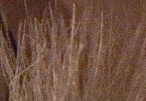 Samsung NX20: za více peněz více muziky