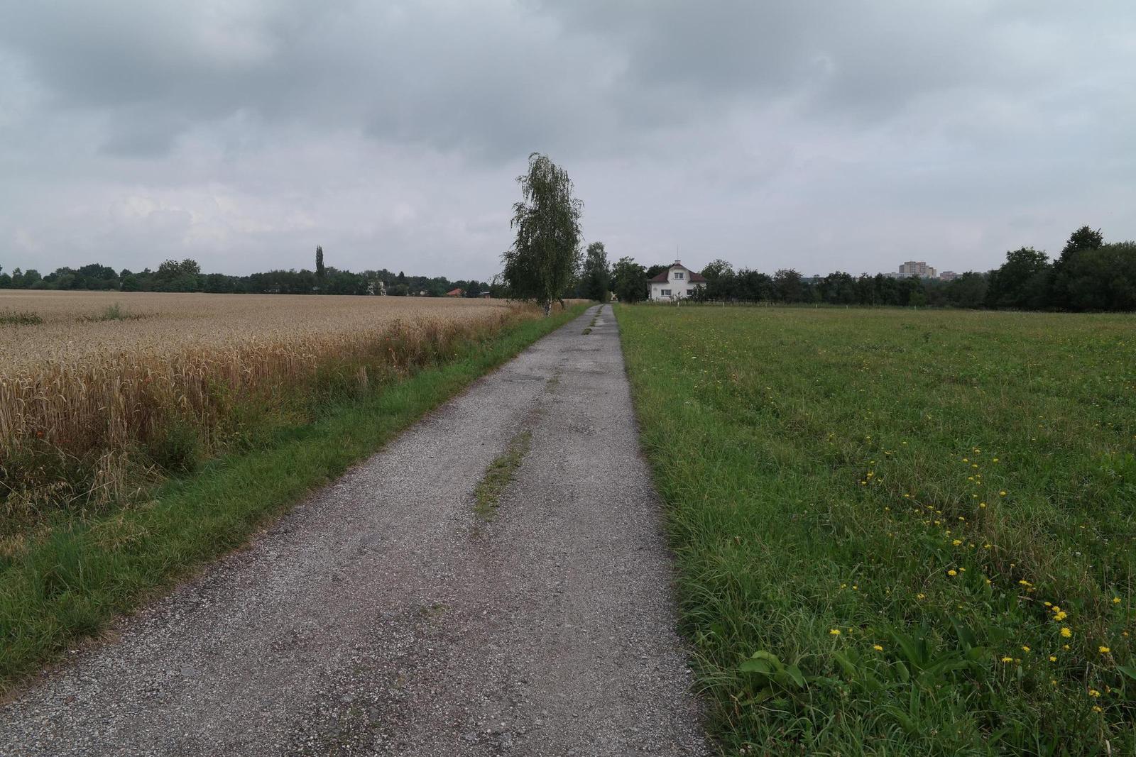 Samsung 16-50mm F2.0-2.8 S ED OIS