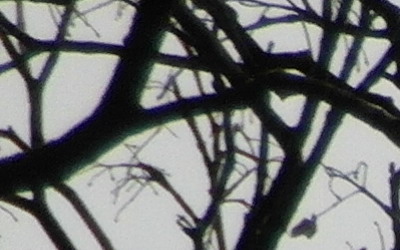 Samsung WB750: splnil očekávání?