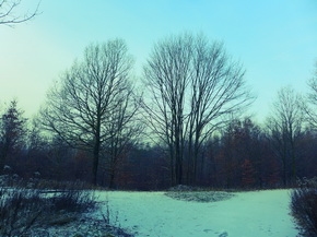 Panasonic Lumix LX7: kompaktní hvězda noci