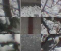 Canon PowerShot SX500 IS: fotící stroj času