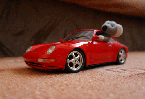 Fotíme s Koalou: Panning