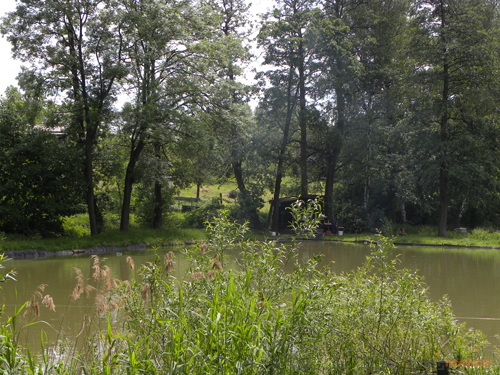 Nikon Coolpix P90: napodruhé mnohem lépe