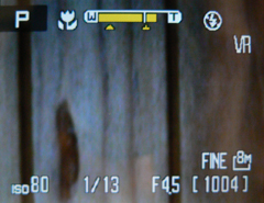 Nikon Coolpix P60: rychlý maratonec