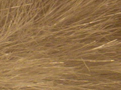 Olympus XZ-1: trefa do černého