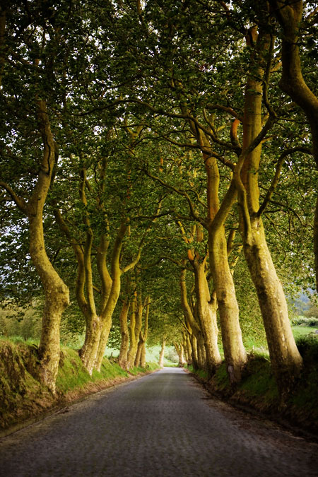 Formáty pro ukládání fotografií - 3.díl: jpeg