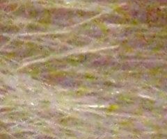 Olympus mju 9000: 10× ultrazoom v kompaktním balení