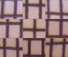 Panasonic Lumix TZ30: pokračovatel slavného rodu?