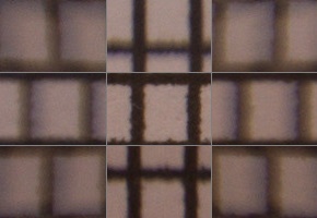 Tamron 16-300mm f/3.5-6.3 Di II VC PZD Macro