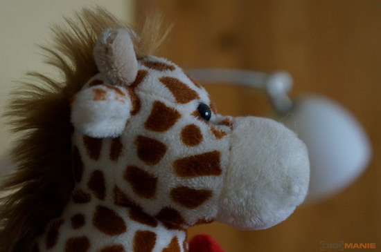 Sony NEX-5R: fázový posun k lepšímu?