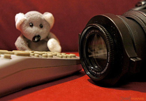 Fotíme s Koalou: Makro a telemakro