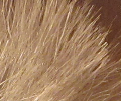 Canon PowerShot S90: malý zázrak