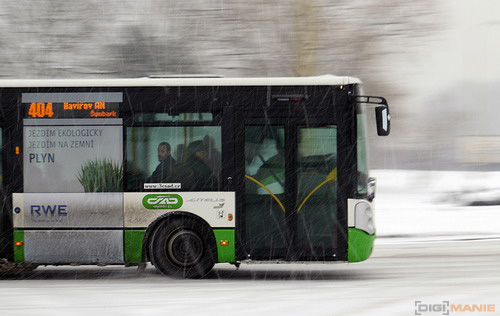Fotíme s Koalou: Panning