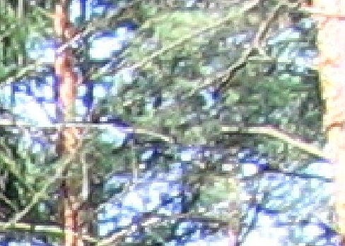 Canon PowerShot A520: Tak trochu jiné Áčko s plným manuálem