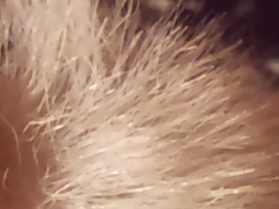 Sony Ericsson Xperia X10: fotící elegán