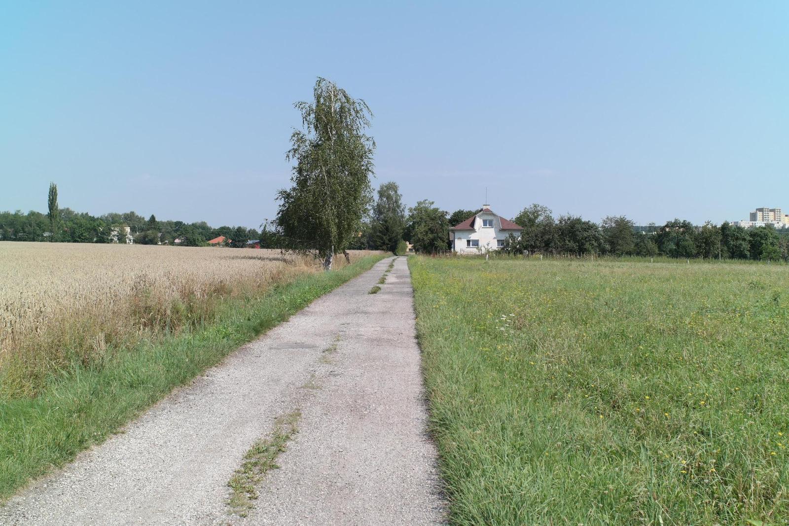 Olympus OM Zuiko 28mm f/2.8 (OM)