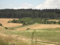 Acer CR-8350: Kompaktních 8 Mega