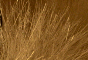 Nikon D5300: bezdrátový DSLR turista