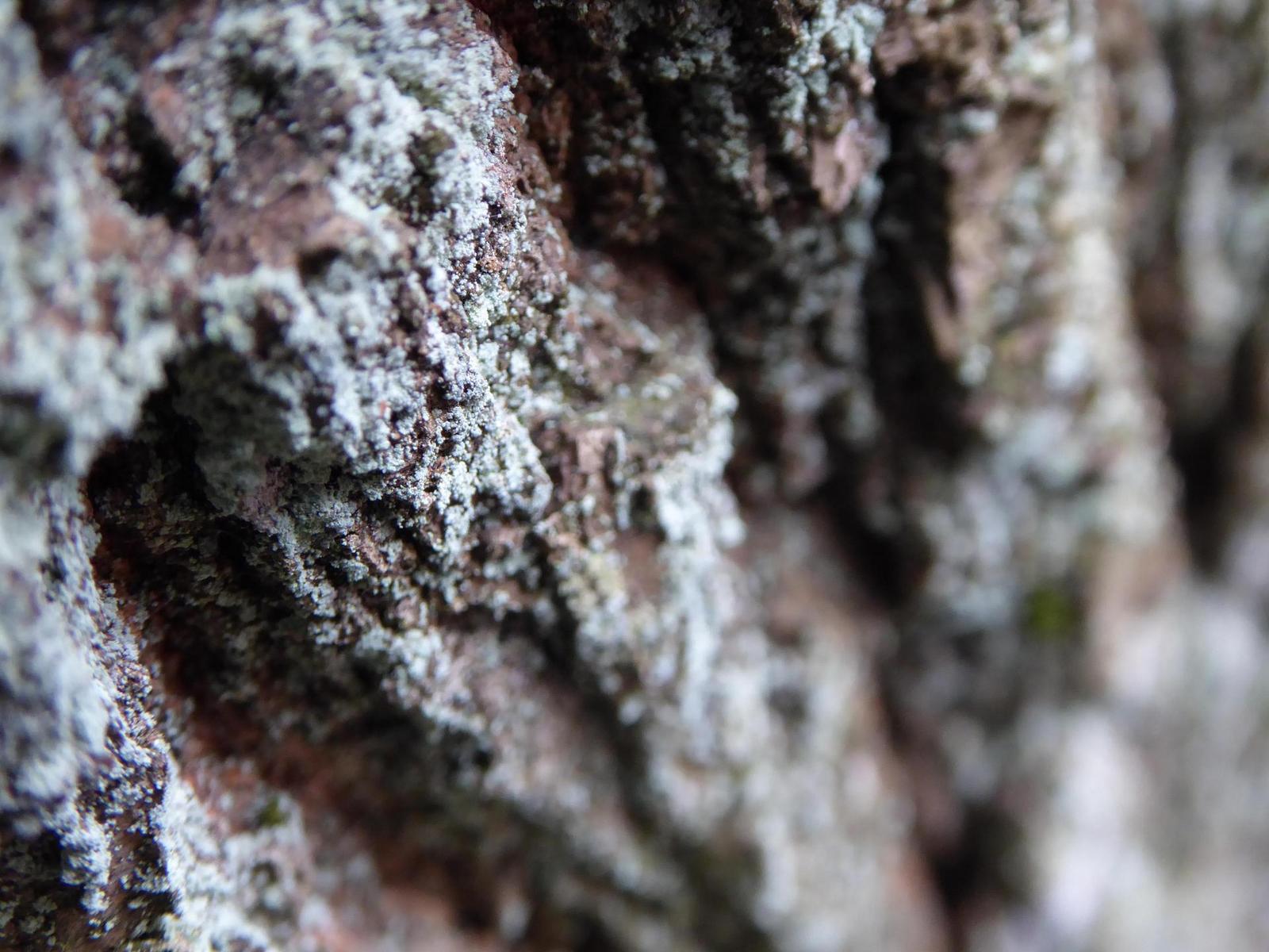 Panasonic Lumix TZ70: krůček k profi ultrazoomu