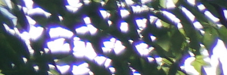 Sony Carl Zeiss Vario-Tessar T* 16-70mm F4 OSS (SEL1670Z)