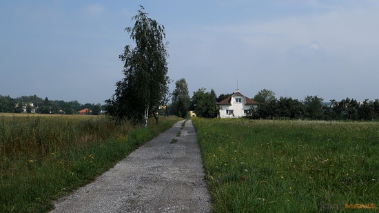 Sony Cyber-shot RX100: terminátor zrcadlovek