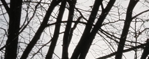 Panasonic Leica DG Vario-Summilux 10-25mm F1.7 ASPH.