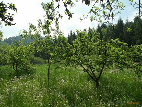 Samsung EX1: příjemné překvapení