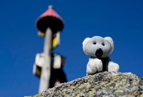 Fotíme s Koalou: Hloubka ostrosti