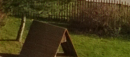 Nokia Lumia 1020 vs. 808 PureView