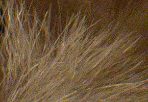 Samsung NX300: spousta kroků vpřed, jeden vzad