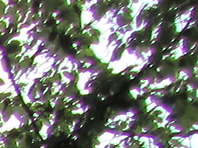 Canon PowerShot SX210 IS: s překvapivou zbraní