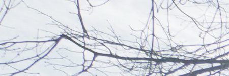 Panasonic Lumix G Vario 12-32mm f/3.5-5.6 ASPH. / MEGA O.I.S.