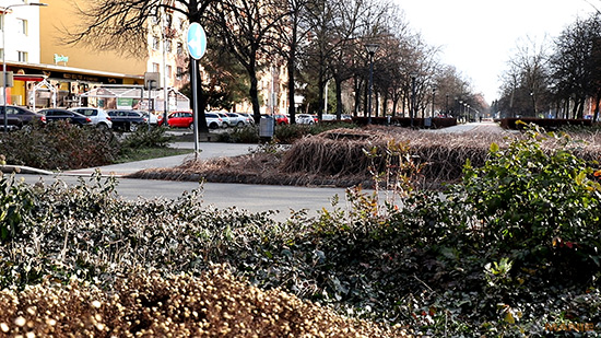 Canon EOS 6D Mark II: vylepšený full frame základ